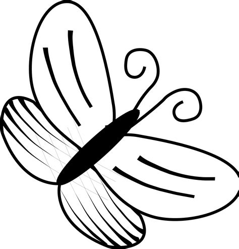 butterfly cartoon black and white|butterflies clip art black and white.